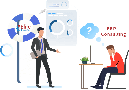 ERP Consulting